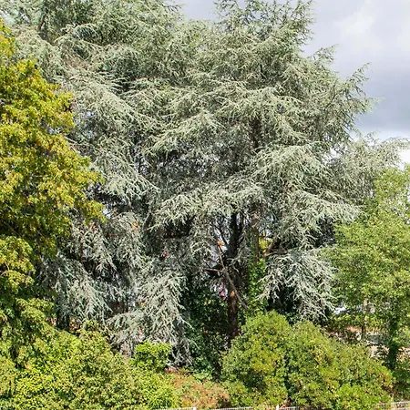 Hotel Parc Expos La Beaujoire