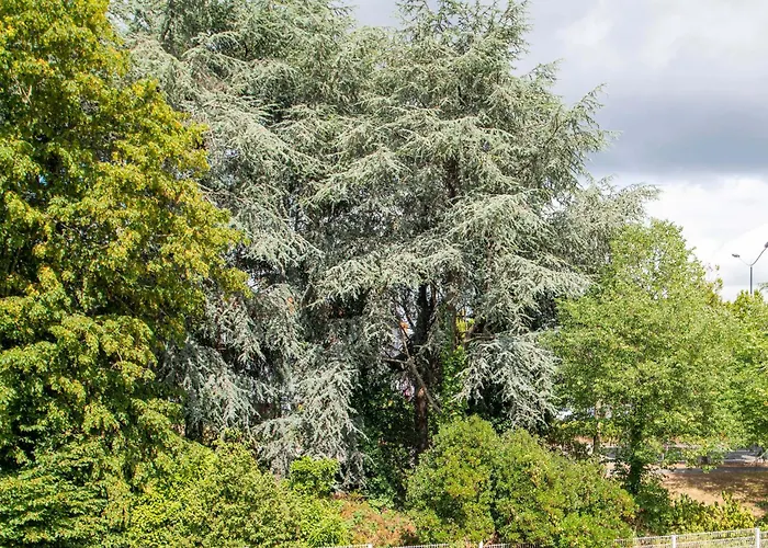 Hotel Parc Expos La Beaujoire